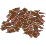 Terrain Squid (Mjmannella)