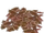 Terrain Squid (Mjmannella)