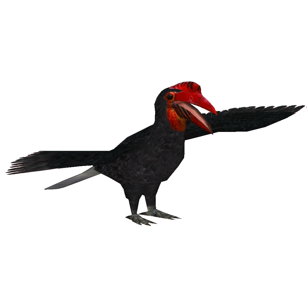 Writhed Hornbill (Samuel) | ZT2 Download Library Wiki | Fandom