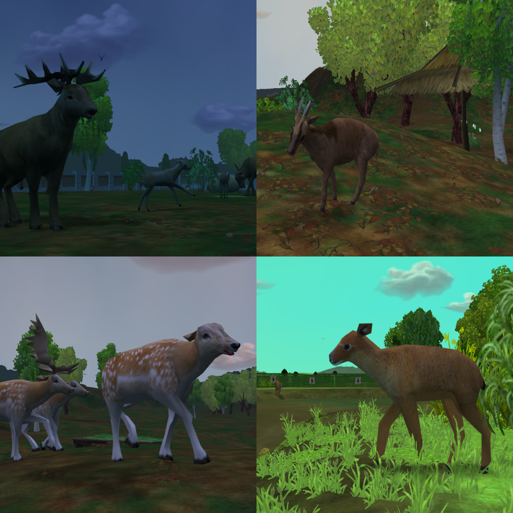 Deer packs online