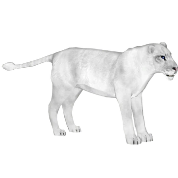 White Lion (Zoo Tycooner FR) | ZT2 Download Library Wiki | Fandom