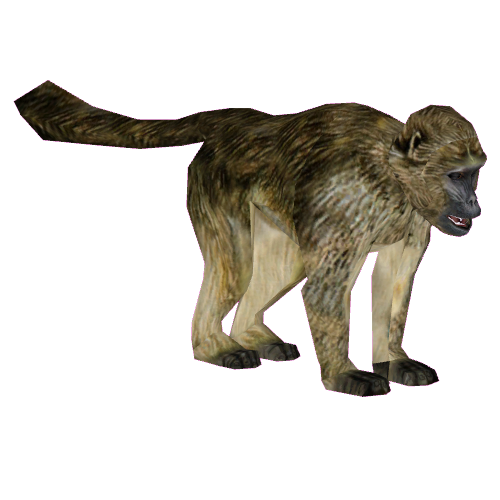 Chacma Baboon (Tamara Henson) | ZT2 Download Library Wiki | Fandom