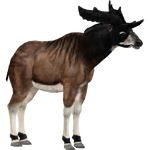 Sivatherium (Jannick) (194 KB) Sivatherium (Jannick)