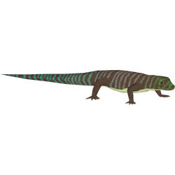 Category Geckos Legless Lizards Zt2 Download Library Wiki Fandom