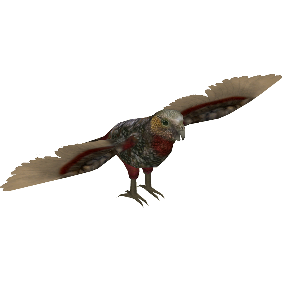 New Tarta Bird Render!