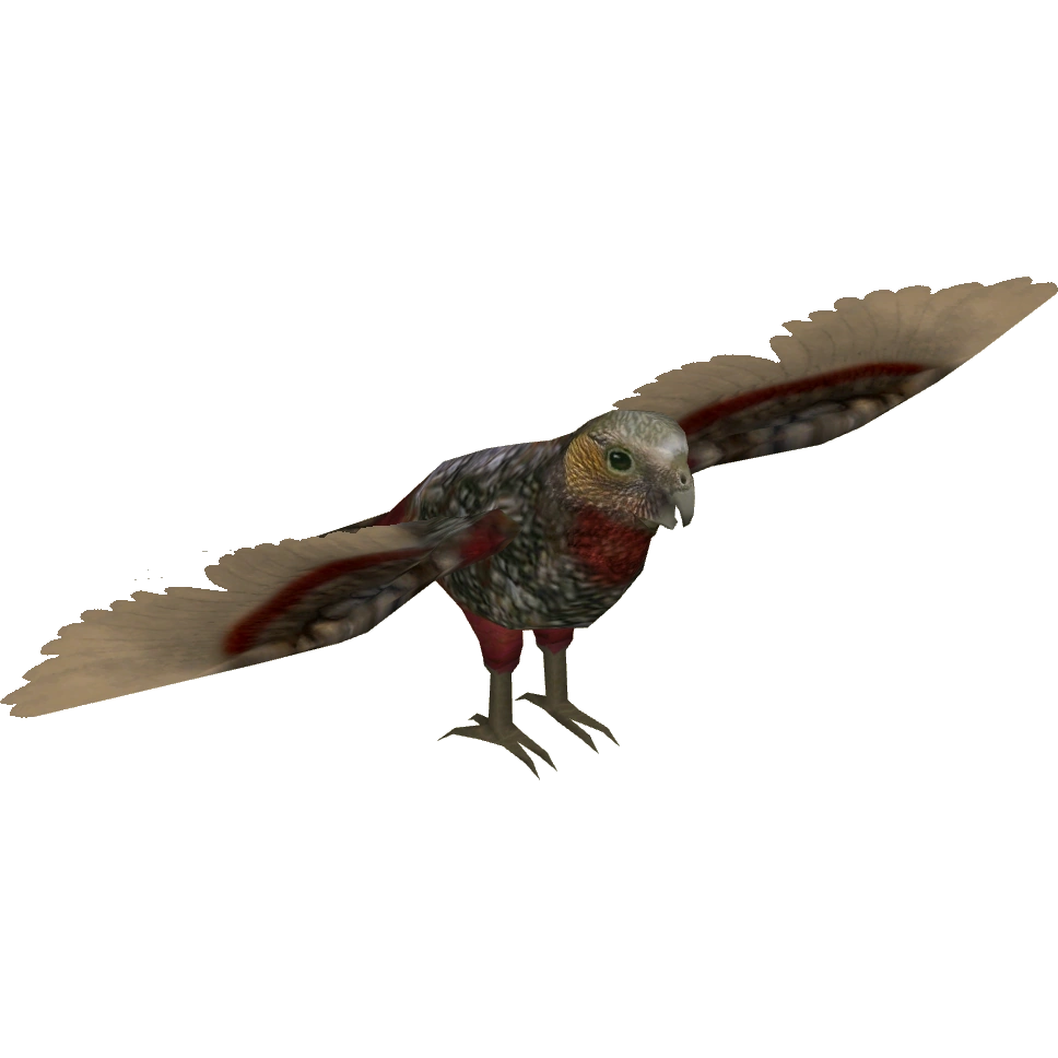 New Zealand Kaka (Tamara Henson) | ZT2 Download Library Wiki | Fandom