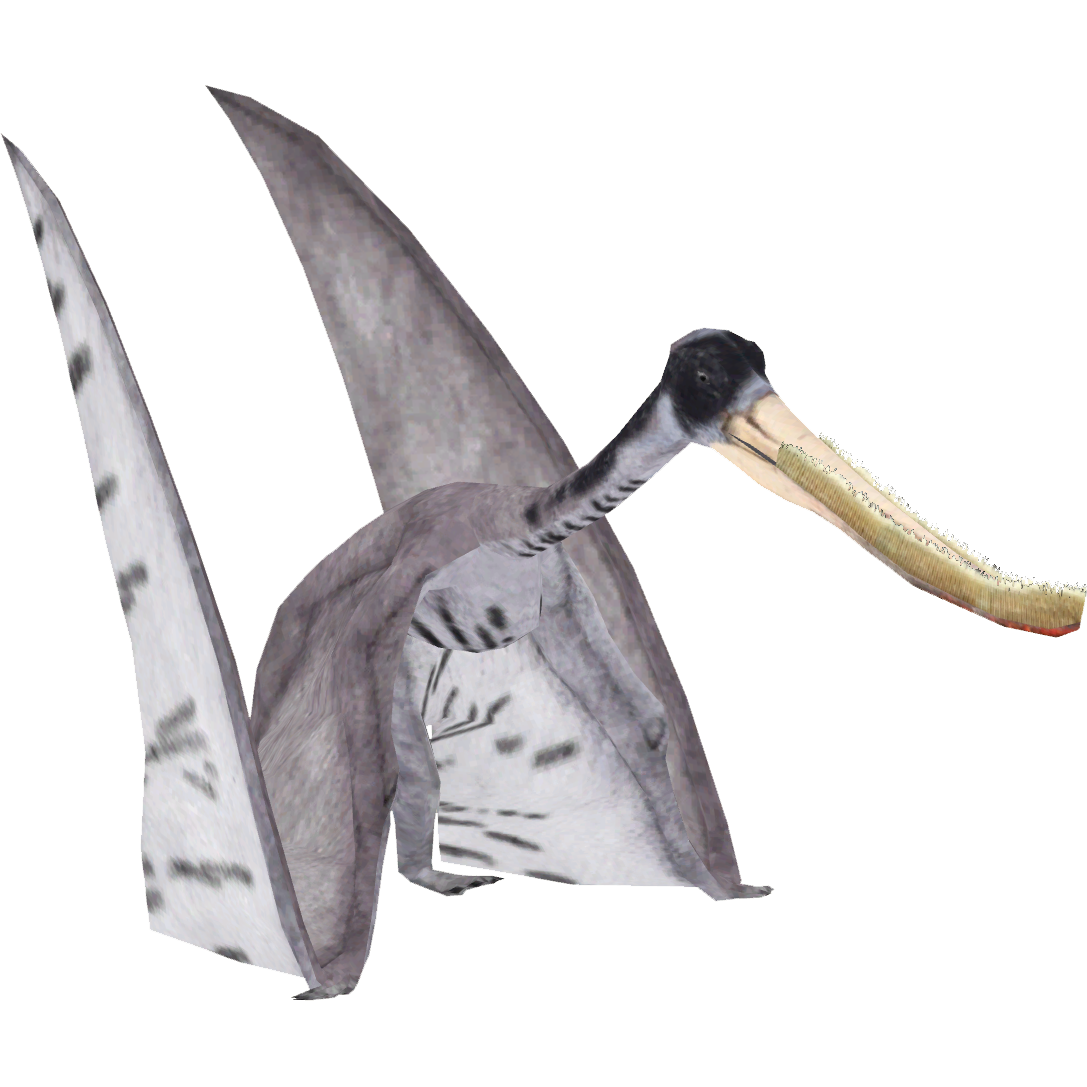 Pterodaustro (Renee & Whalebite) | ZT2 Download Library Wiki