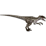 Jurassic Park Velociraptor (BioHazard)