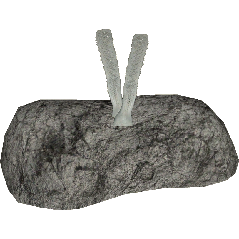 Venus Flower Basket (Whalebite) ZT2 Download Library Wiki Fandom