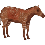 Hyracotherium (Bunyupy)