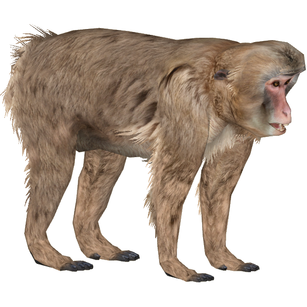 動物圖2 Jurassic World Chungkingosaurus (Alvin Abreu) | ZT2 Download