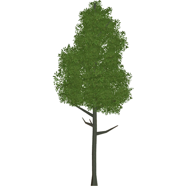 Turkish Hazel (ZetaDesigns) ZT2 Download Library Wiki Fandom