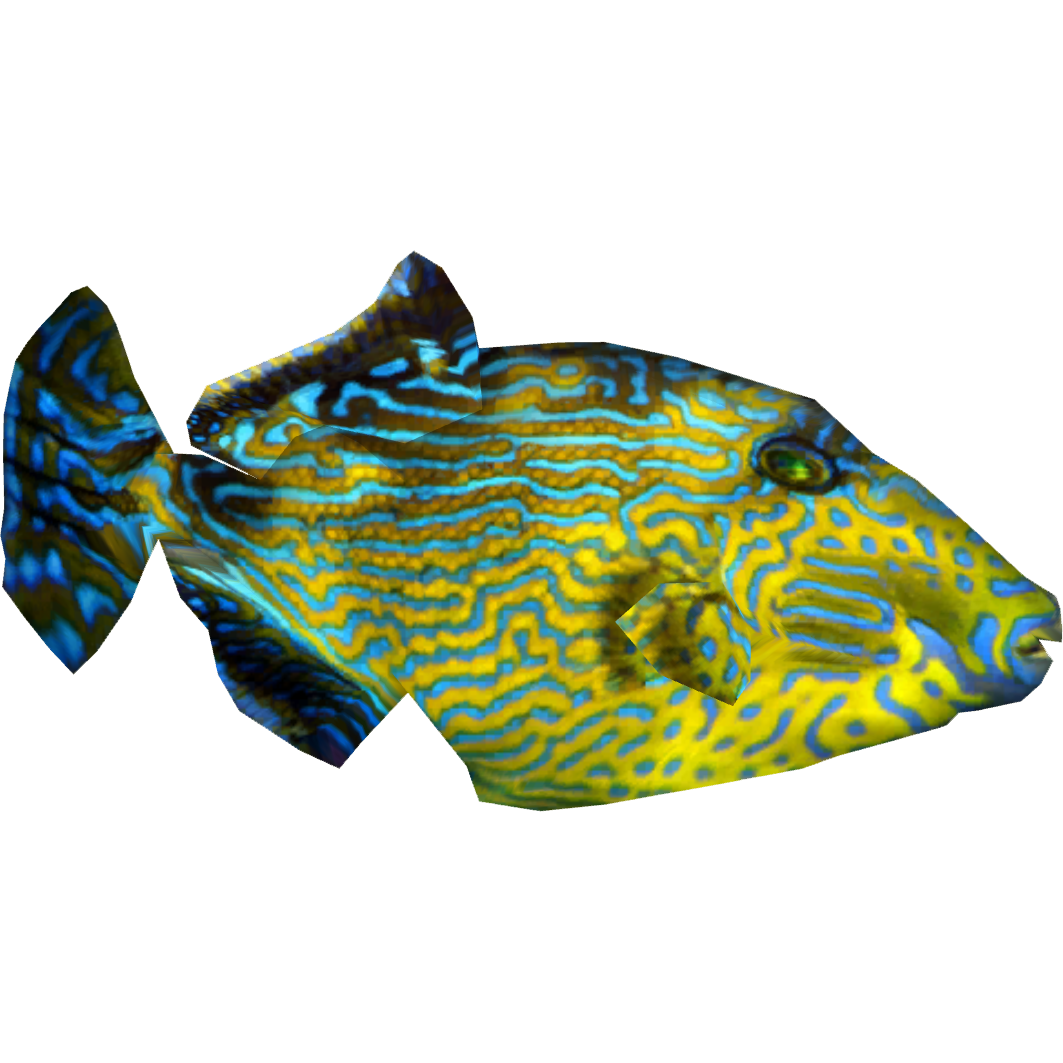 Blue Lined Triggerfish (Dycki1231) | ZT2 Download Library