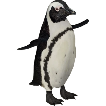 African Penguin (Lights) | ZT2 Download Library Wiki | Fandom