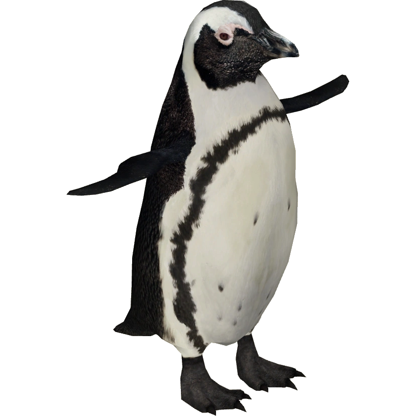 African Penguin (Lights) | ZT2 Download Library Wiki | Fandom