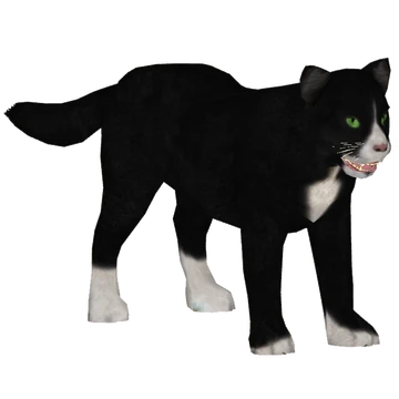Domestic Cat (slice) | ZT2 Download Library Wiki | Fandom