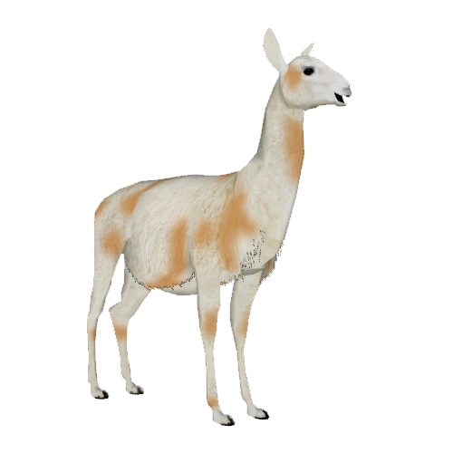 Llama (Zebrasorus) | ZT2 Download Library Wiki | Fandom
