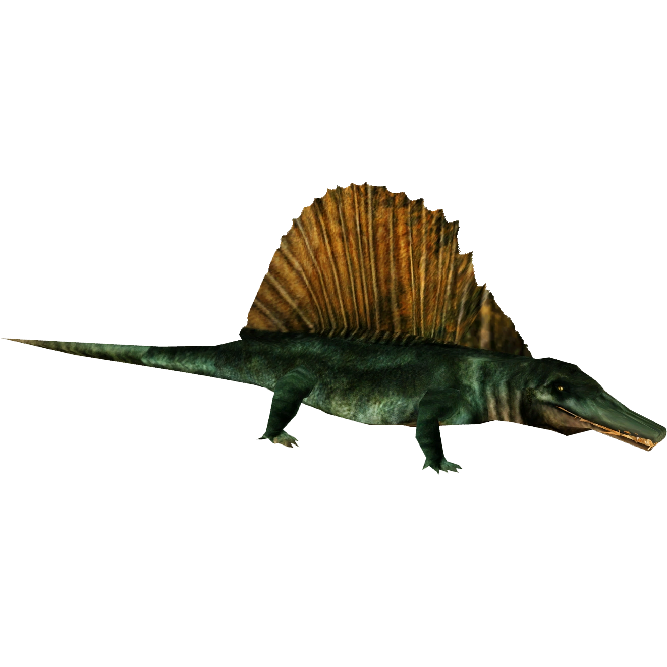 DMD LAND 2 フォトブック　zeenunew thomaskong DMD LAND 2 フォトブック zeenunew thomaskong Amazon.co.jp