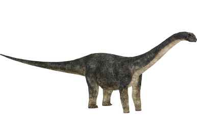 Nyctosaurus (16529950, Andrew12 & Whalebite) | ZT2 Download
