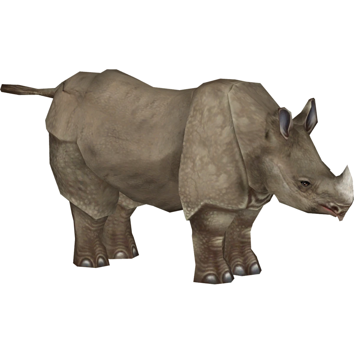 Indian Rhinoceros (ZetaDesigns) ZT2 Download Library Wiki Fandom