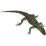 Nile Monitor (Aurora Designs) (24 KB) Nile Monitor (Aurora Designs)