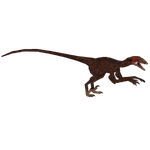 Dromaeosaurus (oO-VND-Oo)