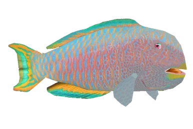 bird_fish Japanese Amberjack (Dycki1231) | ZT2 Download Library Wiki