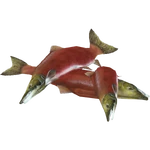 Salmon Food (Zoker)