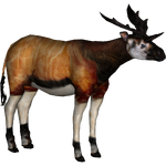 African Sivatherium (Lazardi)