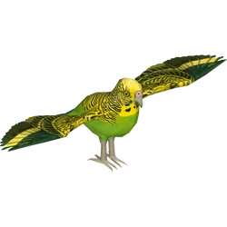 Category:Parrots | ZT2 Download Library Wiki | Fandom