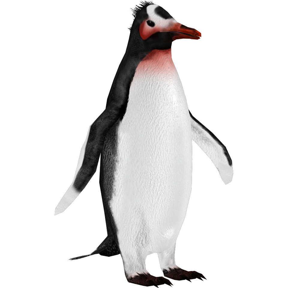 テネシー野郎2 原画penguin art2 Emperor Penguin and Baby Chick / 8