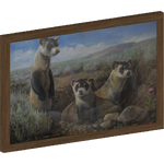 Ferret/Polecat Paintings (Kbcoon)