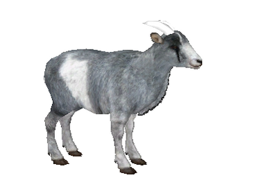 Bezoar Goat (Aurora Designs) | ZT2 Download Library Wiki | Fandom