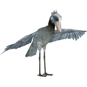 Shoebill (ZTABC Team) | ZT2 Download Library Wiki | Fandom