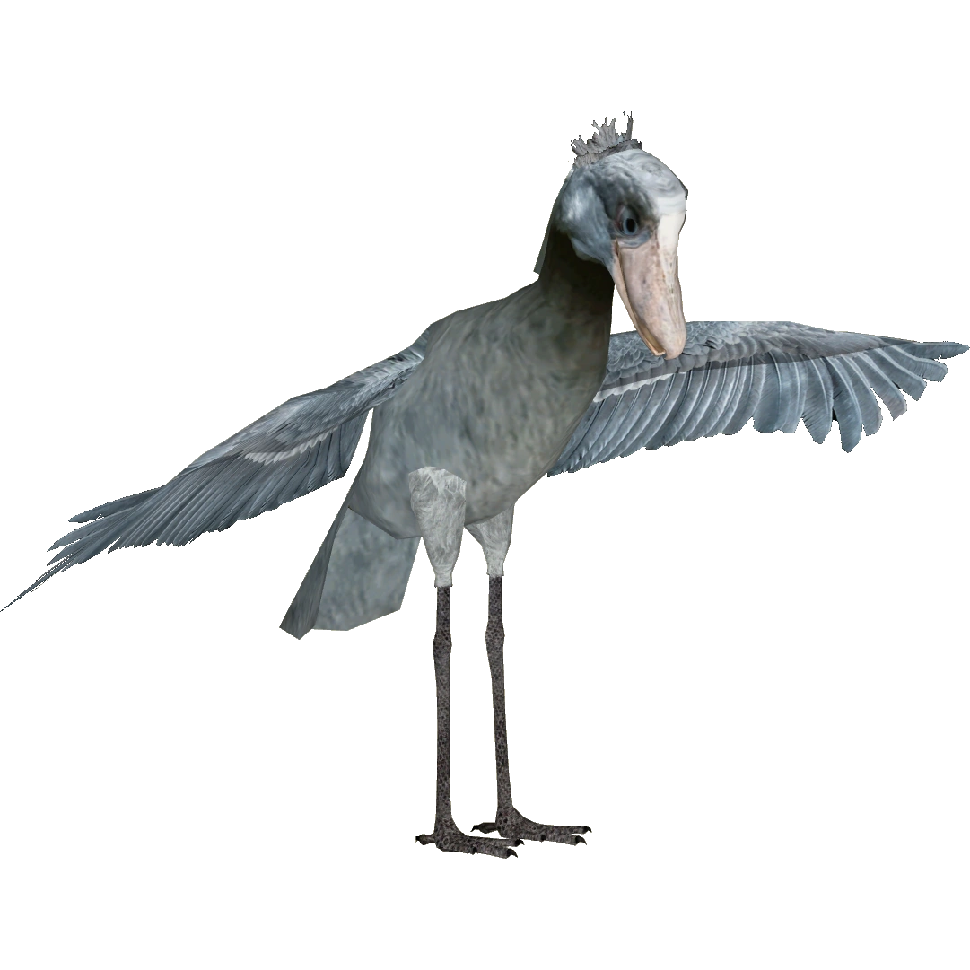 Shoebill (ZTABC Team) | ZT2 Download Library Wiki | Fandom