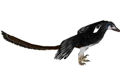 烏 crow 烏 crow Yugioh Caligo Claw Crow YS13-EN008 Common 1st Edition LP