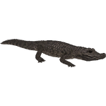 Dwarf Crocodile (HENDRIX & Zerosvalmont)