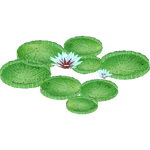 Irupe (Hispa Designs) (477 KB) Irupe (Hispa Designs)