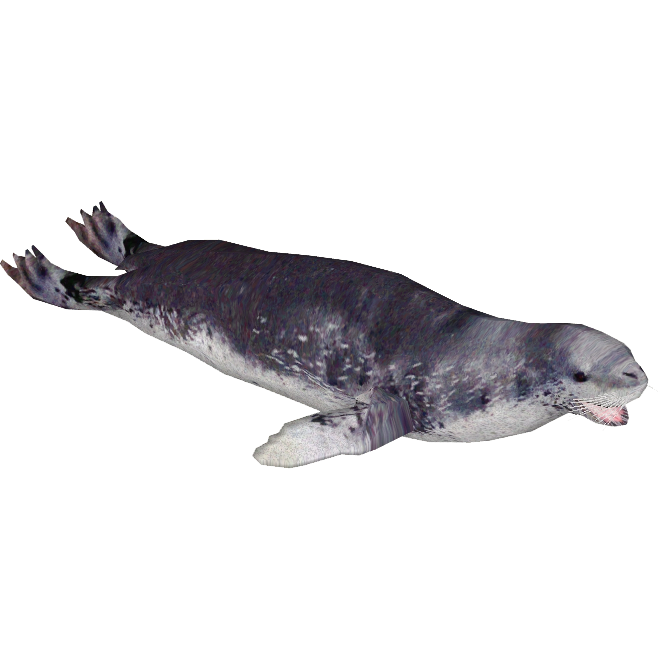 Leopard Seal (Zerosvalmont) | ZT2 Download Library Wiki | Fandom