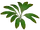 Littoral Sword Plant (Z-Studio)