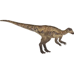 dino13様 $_57.JPG?set_id=880000500F