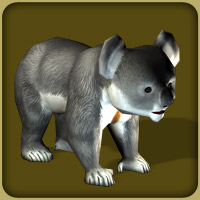 Zoo Tycoon 2: Endangered Species Demo : Blue Fang Games : Free Download,  Borrow, and Streaming : Internet Archive