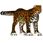 Javan Leopard (Dinosaur)