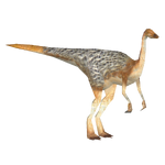 Ornithomimus (Philly)