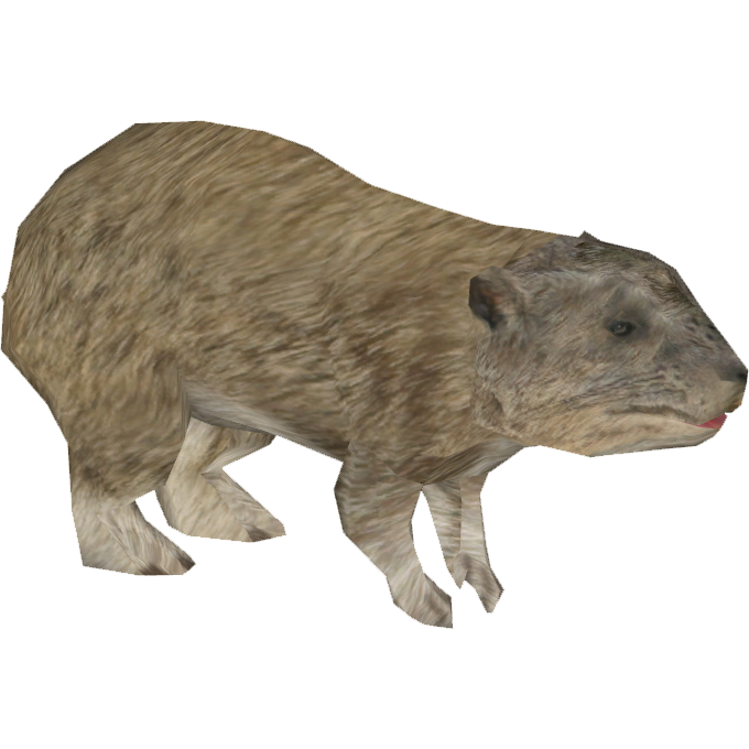 CategoryHyraxes ZT2 Download Library Wiki Fandom