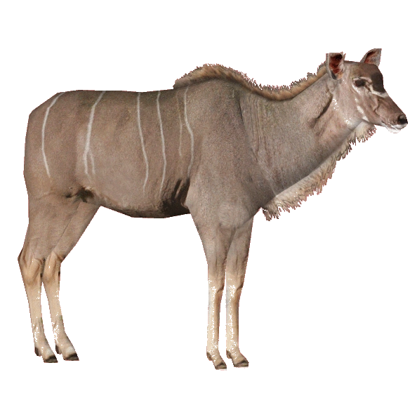 Greater Kudu (Robert, Royboy407 & Tom) | ZT2 Download Library Wiki