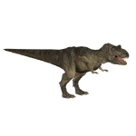 Tyrannosaurus (Philly)