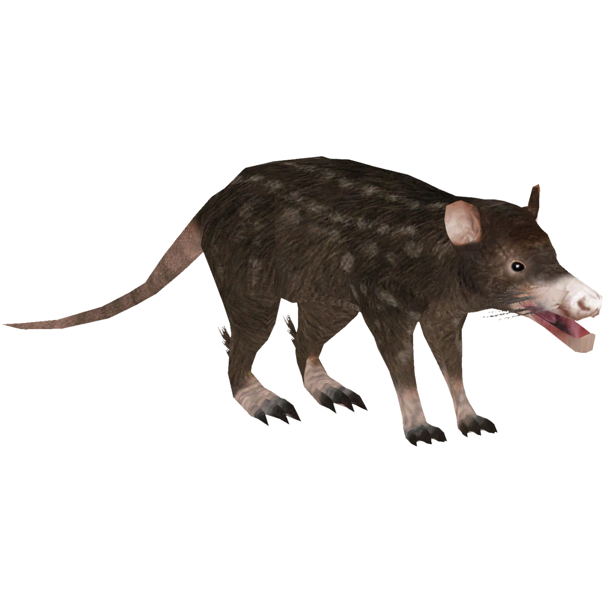 Saint Bathans Mammal (Tamara Henson) ZT2 Download Library Wiki Fandom