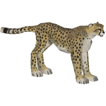 American Cheetah (Dinosaur)