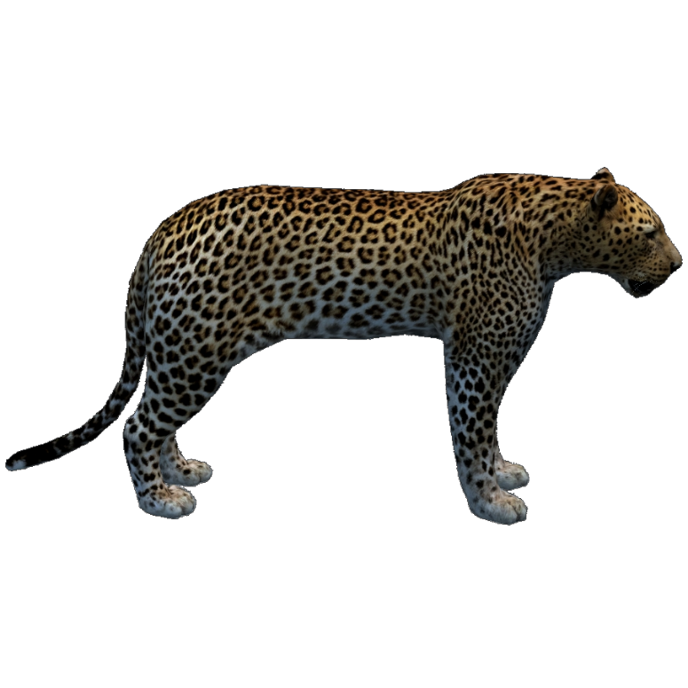 ★OAMC★ Game Leopard Hood Otanio 23A28OAJ23COTOA048308 23A2 Barbary Leopard (Havok1199) | ZT2 Download Library Wiki | Fandom